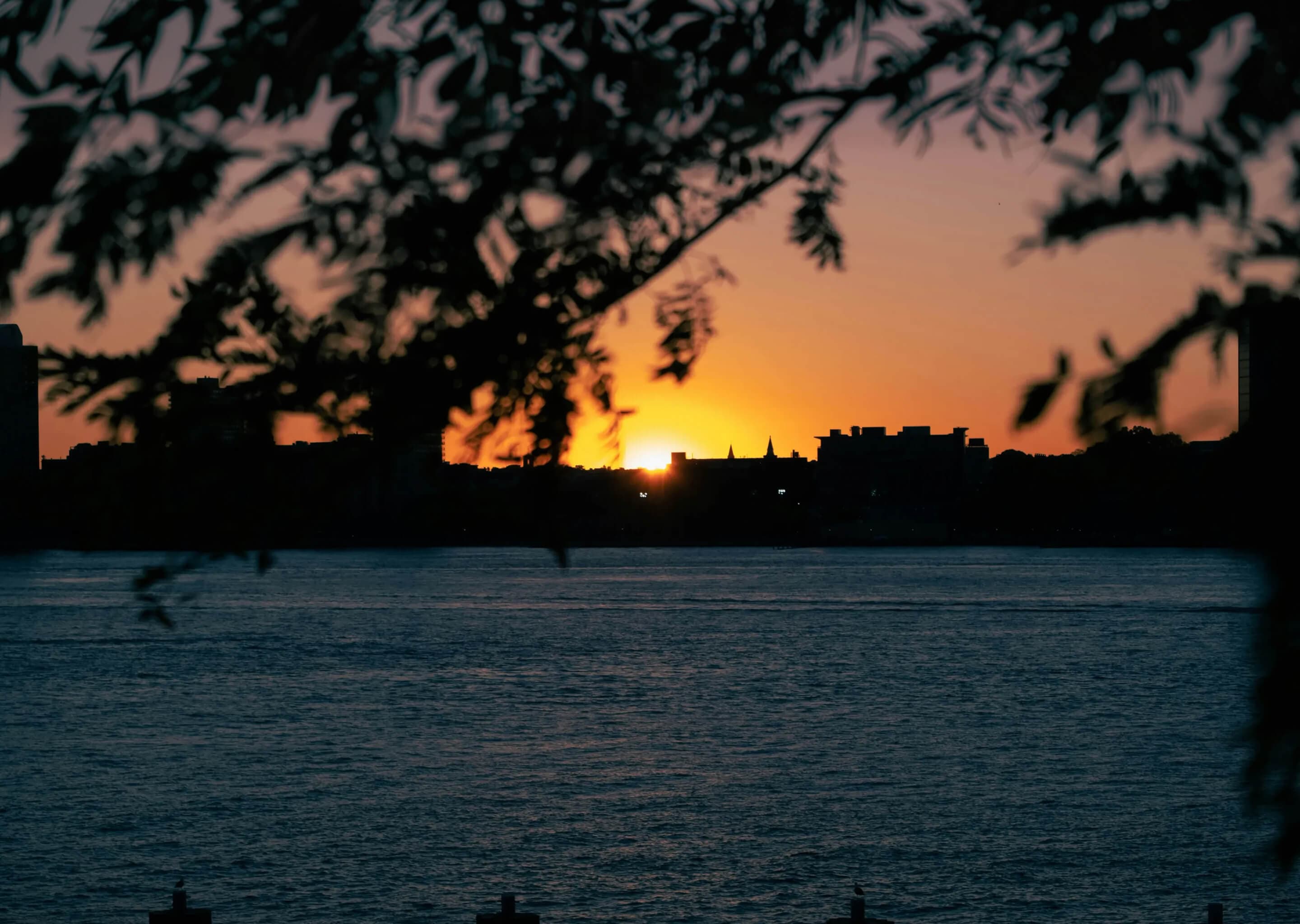 Sunset sunrise, somewhere something