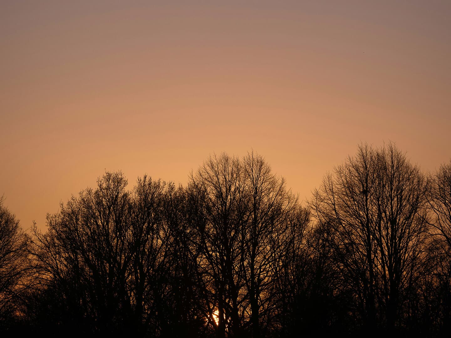 Life at a calmer pace